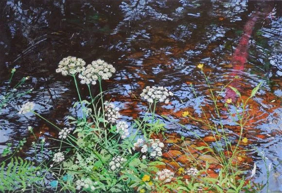 Puddles, Ponds and Streams